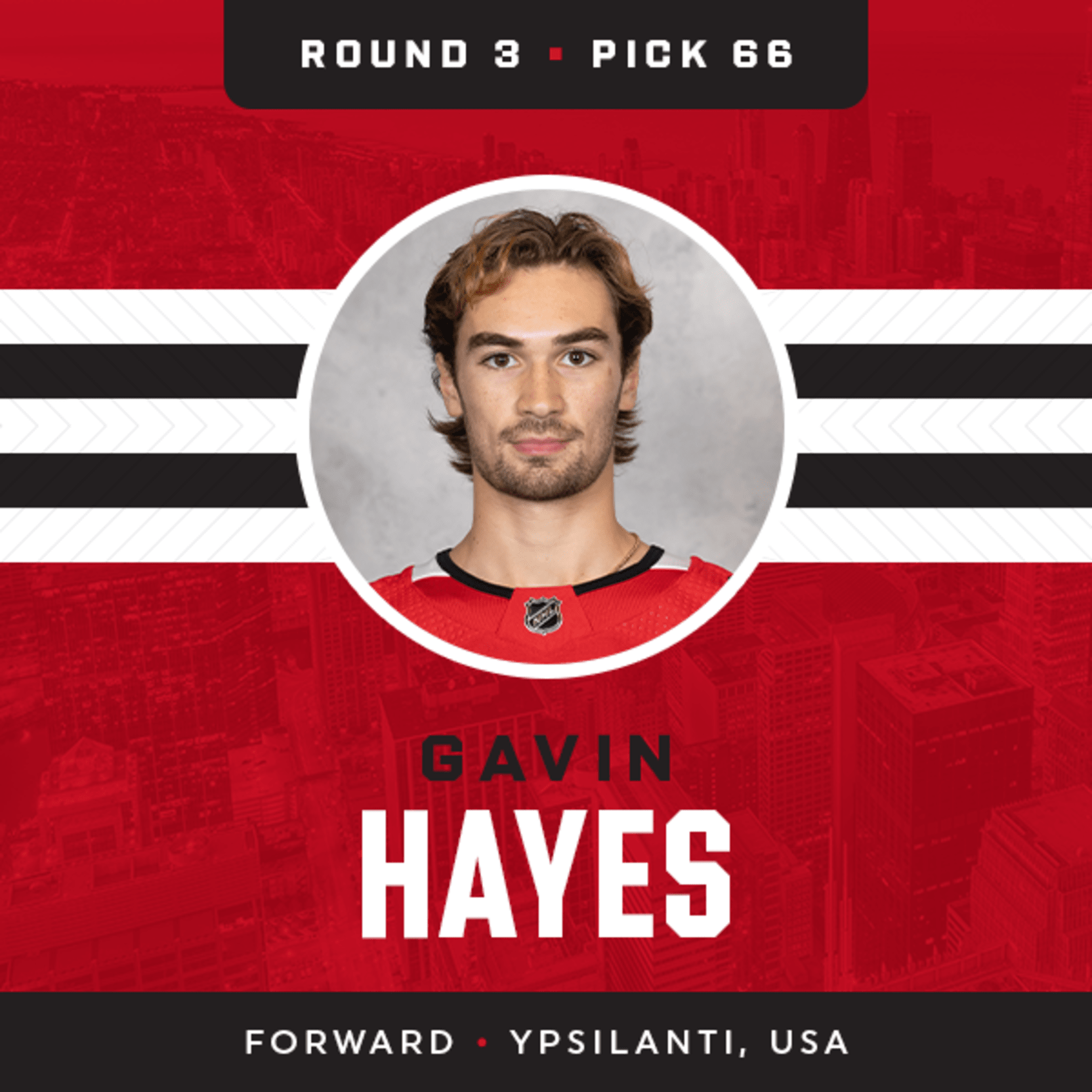 Gavin Hayes